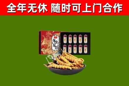 赫山区回收冬虫夏草价格